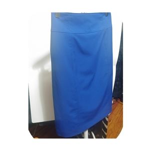 Blue Worthington Skirt